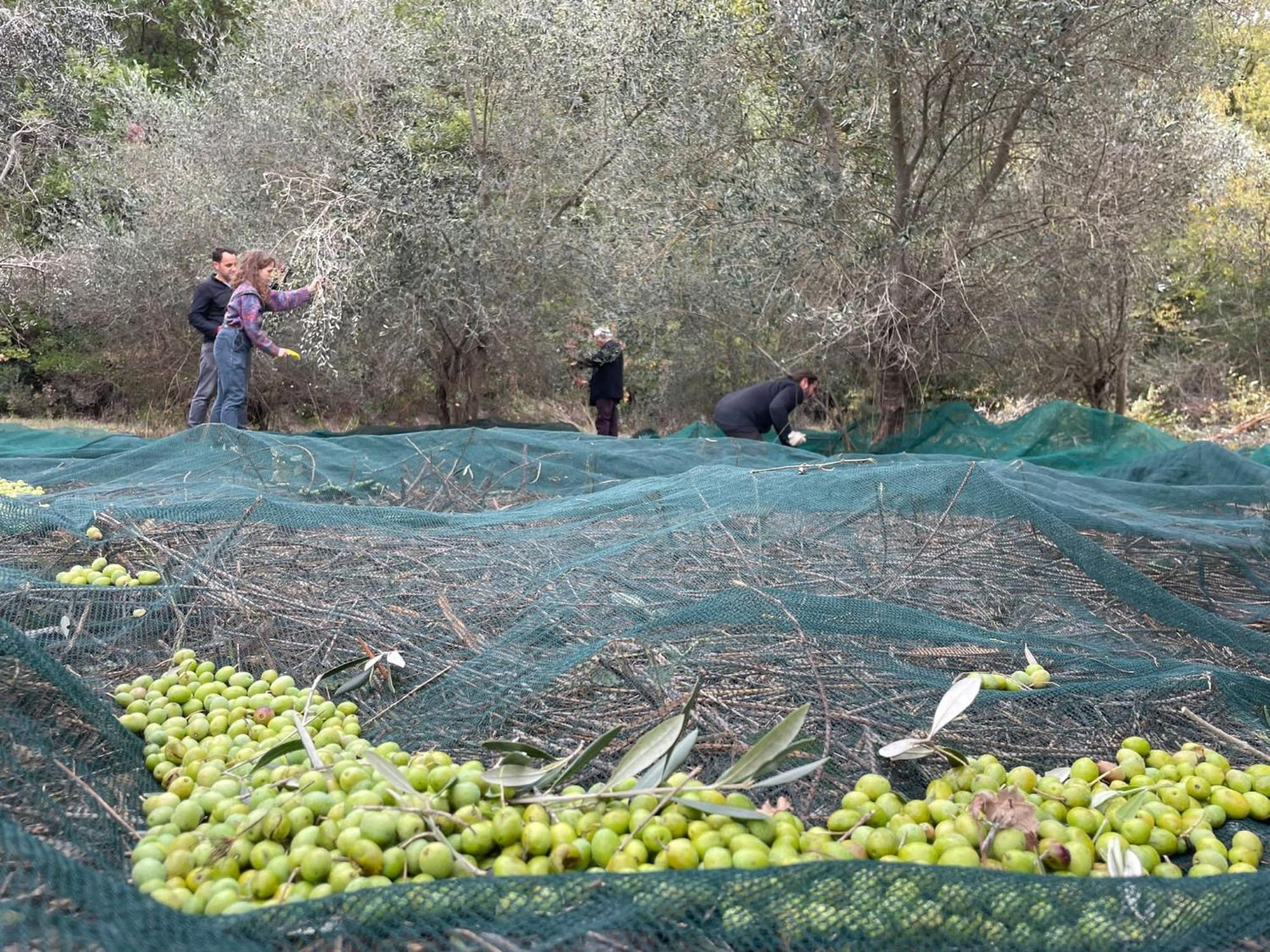 Ficulle La Casella Antico Feudo Di Campagna מראה חיצוני תמונה